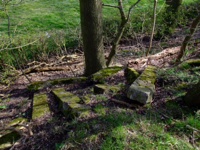 03.04.09 Butterley Co Rly, Sleepers thrown down bank on section to Steamill lane from Butterley