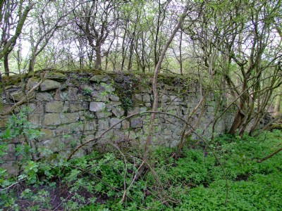 07.04.09 Butterley Co Rly, old iron coal pit loading bank on incline to High holborn pit (3)
