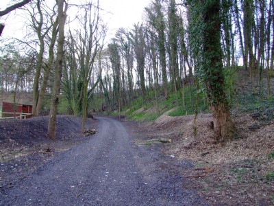 07.04.09 Butterley Co Rly, old route to high Holborn at Tanyard,knowts hall