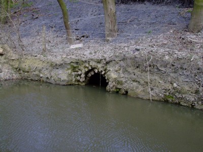 07.04.09 Butterley Co Rly, Tanyard, Mystery culvert under old workings in woods