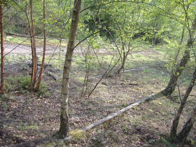 butterley sidings