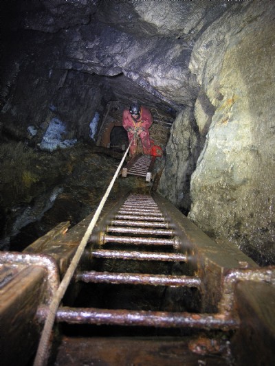 Nimrod Ascending from the Intermediate Level