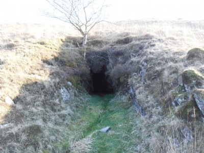 Bwlchglas