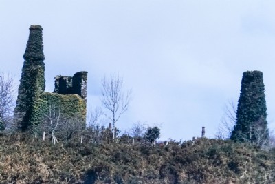 Photographs Of Calstock East