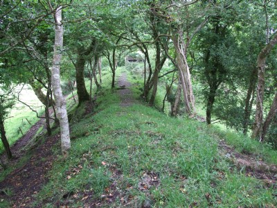 Caradon Copper Mine