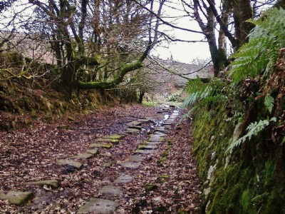 South Caradon