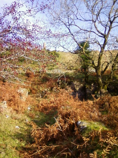 South Caradon