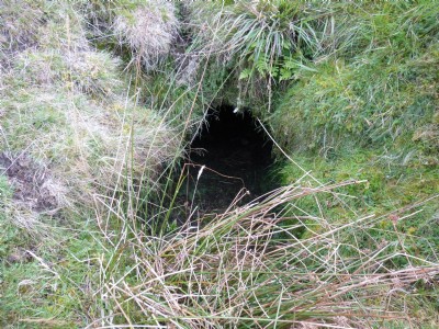 Craddock Moor