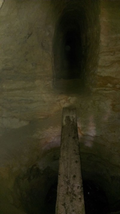 Inside adit at Craddock Moor