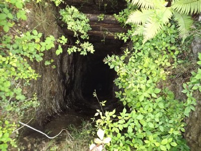 Cusvey Shears Engine Pumping Shaft