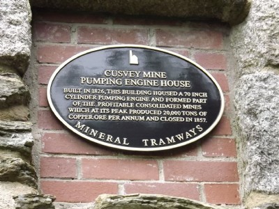 Plaque