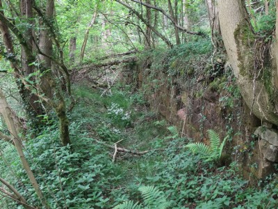 1778 Tramway in Harston Wood