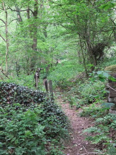 1778 Tramway in Harston Woods