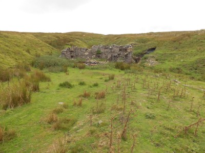 Photographs Of Calvert