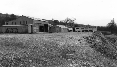The Mine