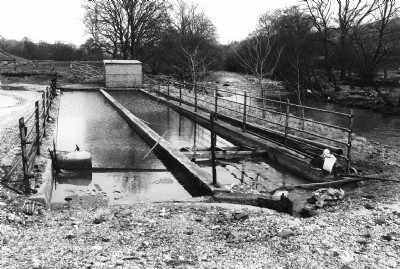 Settling Ponds/Filtration beds.