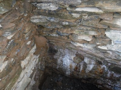 Cambrian Mines Trust Work Days