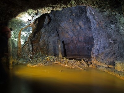 Engine shaft