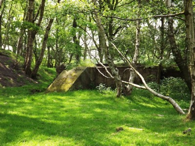 Photographs Of Canal Pit