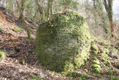Photographs Of Cann