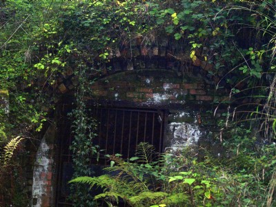 Cannop Drift entrance