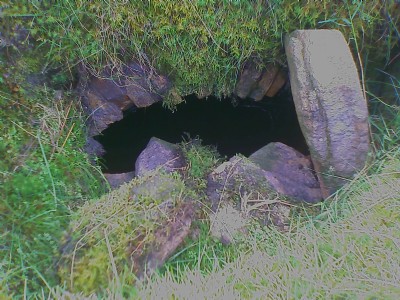 Photographs Of Caplecleugh Firestone Level