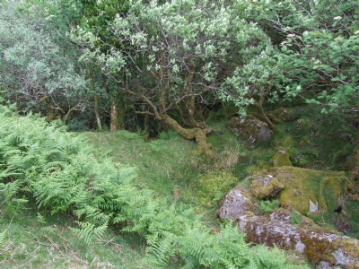 Photographs Of Caradon North East Quarry.