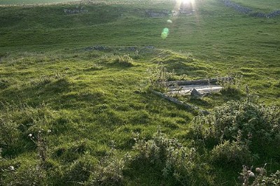 Photographs Of Carder Low