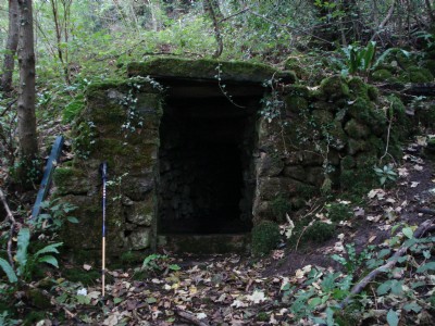 The sough tail