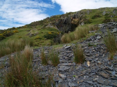 Photographs Of Cefn Yr Orsedd, East.