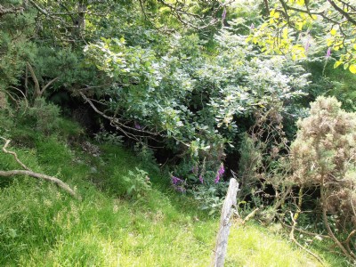 Photographs Of Cerrig Yr Wyn