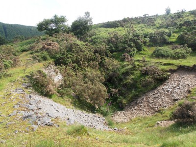Cerrig Yr Wyn