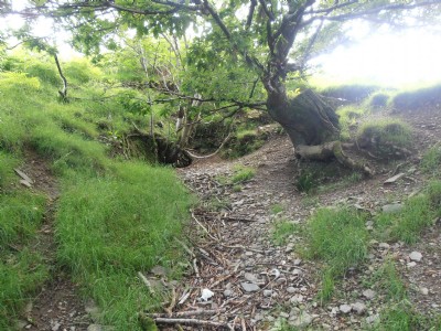 Cerrig Yr Wyn