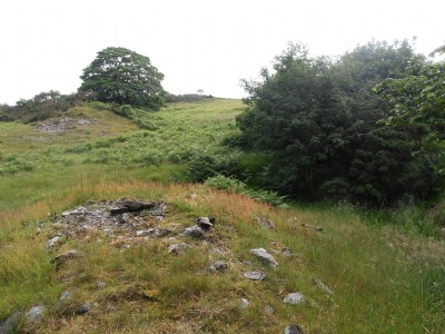 Cerrig Yr Wyn