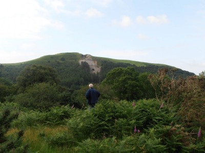 Cerrig Yr Wyn