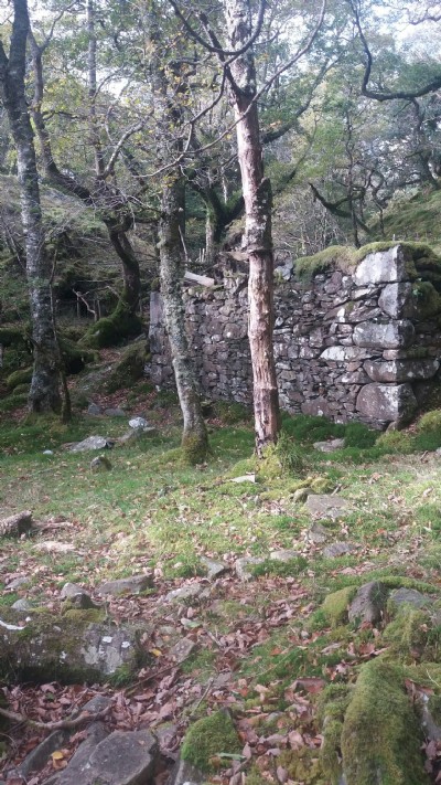 Photographs Of Cesailgwm