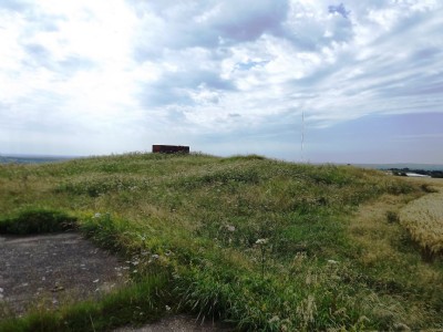 Photographs Of Chariot