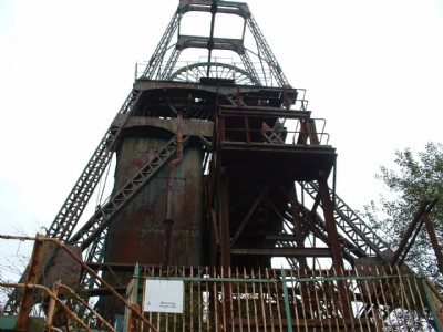chatterley whitfield