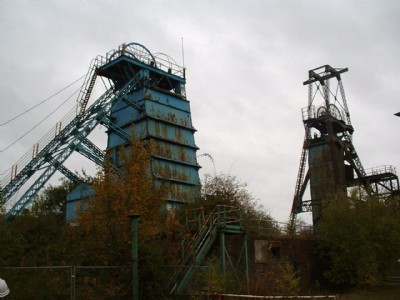 chatterley whitfield