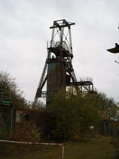 chatterley whitfield