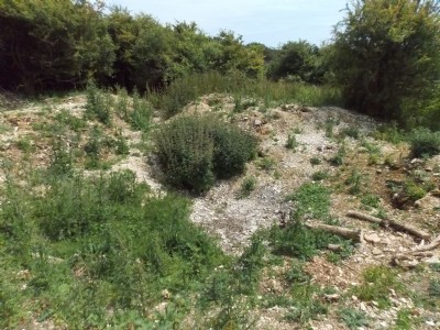 Photographs Of Cissbury