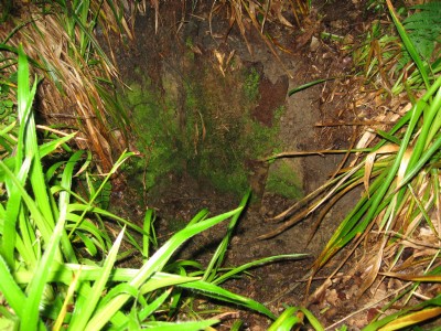 Photographs Of Clockburn Drift