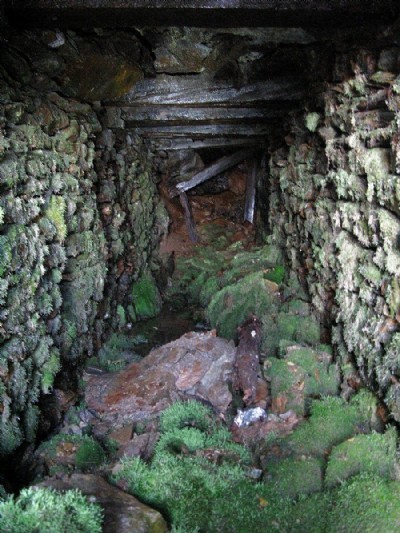 Collapsed adit
