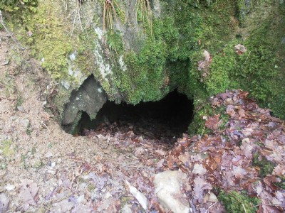 Photographs Of Coed Gwar Cwm