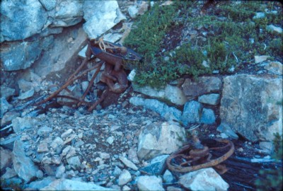 Comet Mine