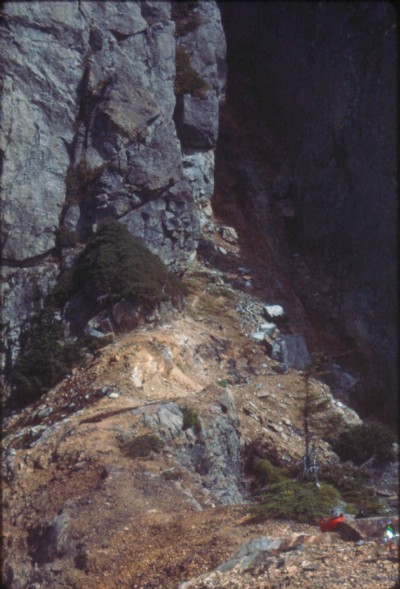 Comet Mine