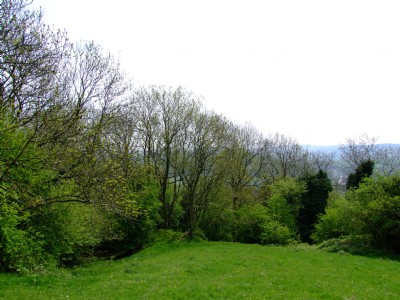 Top of 'Steep', incline to left, cutting behind 08.05.08