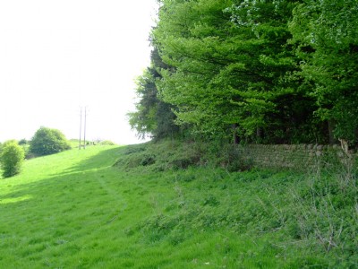 Site of tunnel leading to the 'Steep' 08.05.08