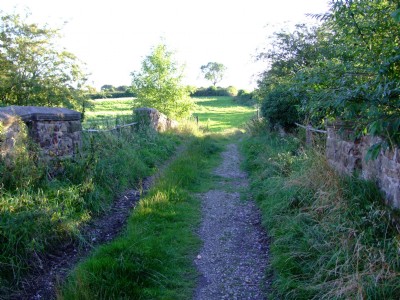 Lane over rail bridge Nth of Crich 02.08.08
