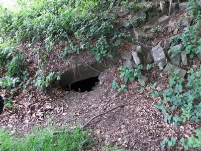 21.05.11 Tunnel Entrance at top of incline